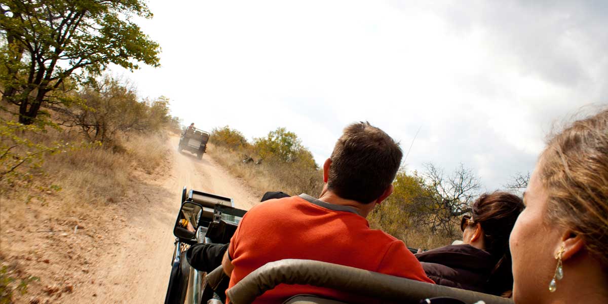 7D6N Explore Kruger National Park By National Geographic Journeys natgeo journey explore kruger national park