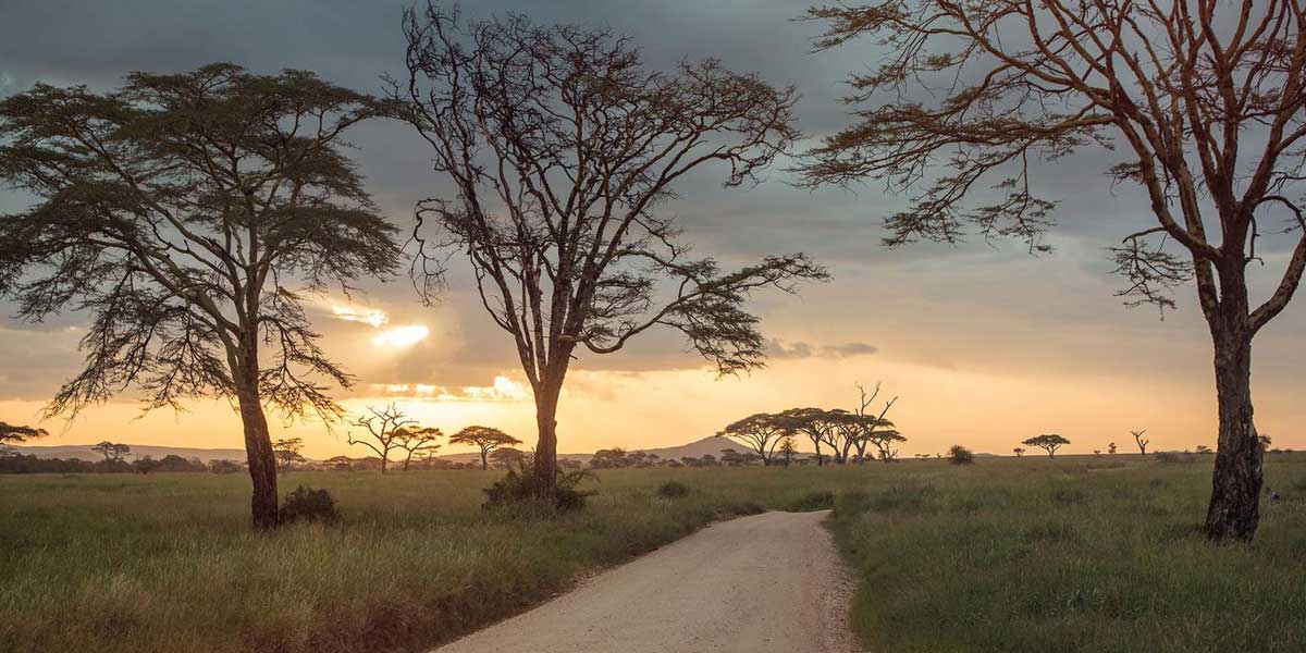 National Geographic Journeys natgeo journey tanzania safari